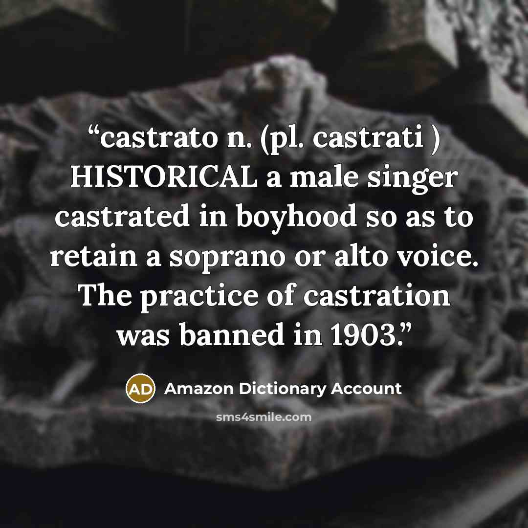 “castrato n. (pl. castrati ) HISTORICAL a male singer castrated in boyhood so as to retain a soprano or alto voice. The practice of castration was banned in 1903.” quote by Amazon Dictionary Account
