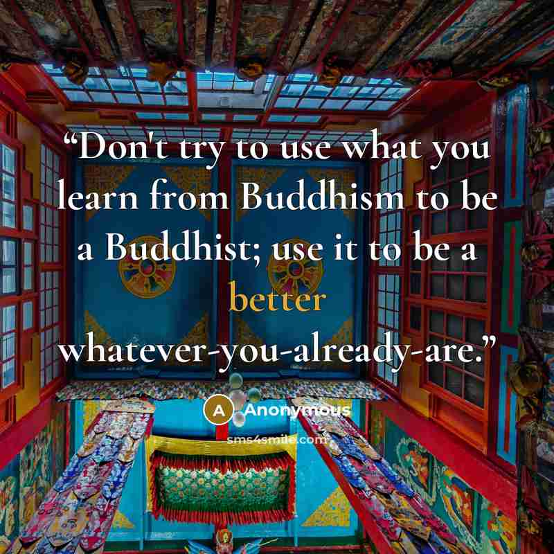“Don't try to use what you learn from Buddhism to be a Buddhist; use it to be a better whatever-you-already-are.” quote by Anonymous