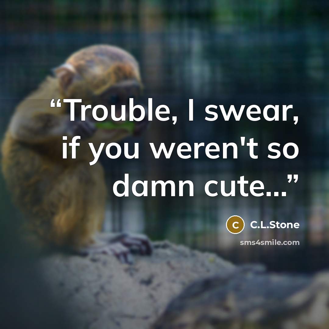 “Trouble, I swear, if you weren't so damn cute...” quote by C.L.Stone