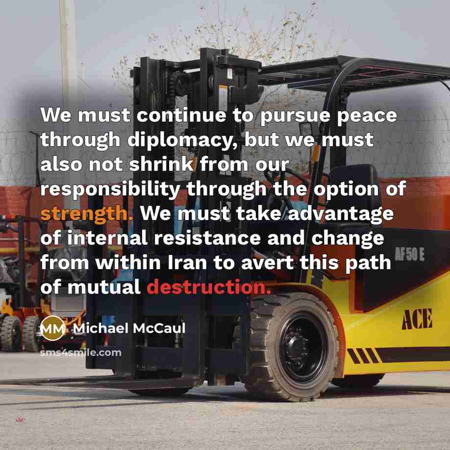 “We must continue to pursue peace through diplomacy, but we must also not shrink from our responsibility through the option of strength. We must take advantage of internal resistance and change from within Iran to avert this path of mutual destruction.” quote by Michael McCaul