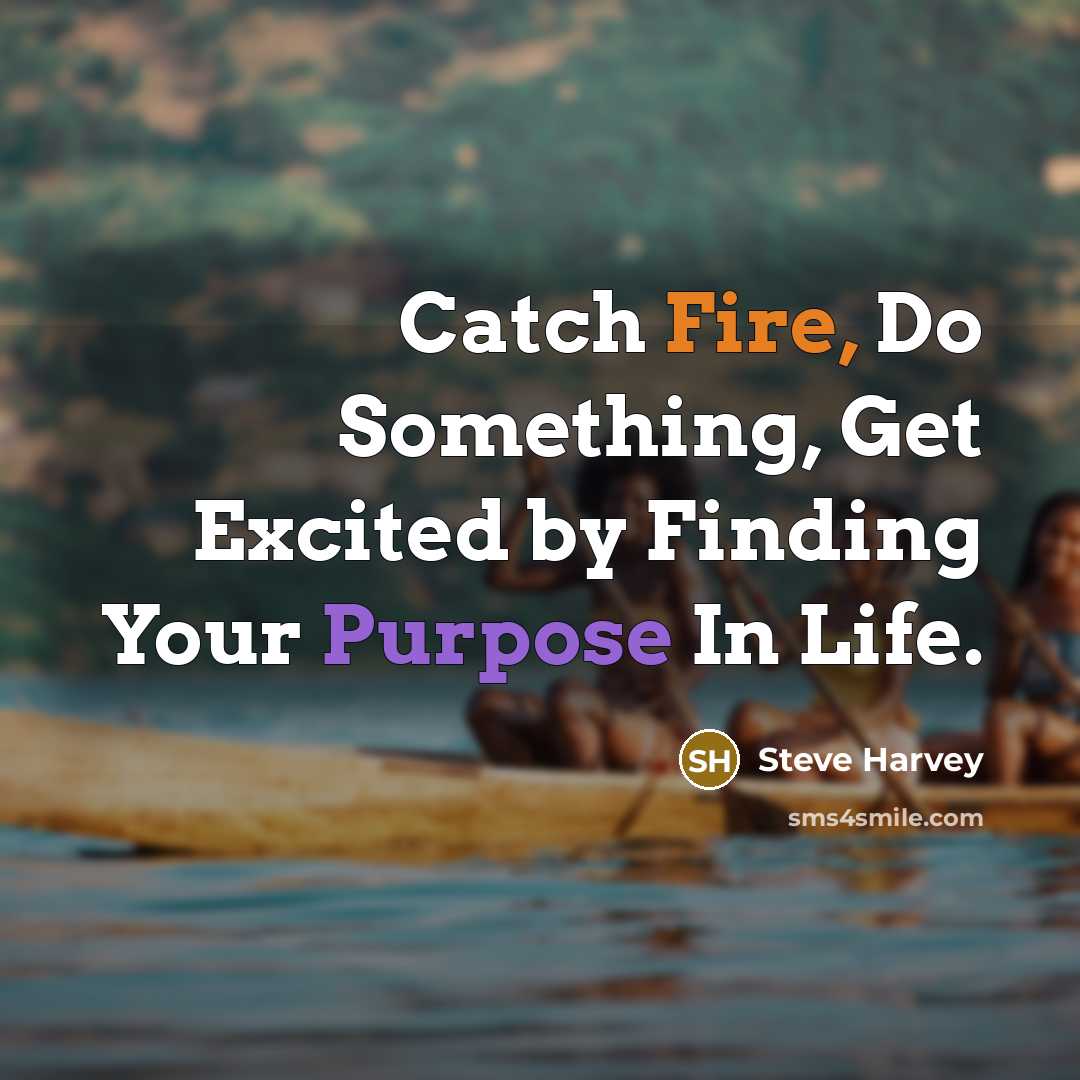 “Catch Fire, Do Something, Get Excited by Finding Your Purpose In Life.” quote by Steve Harvey