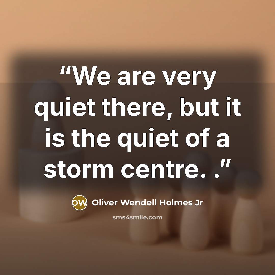 “We are very quiet there, but it is the quiet of a storm centre. .” quote by Oliver Wendell Holmes Jr