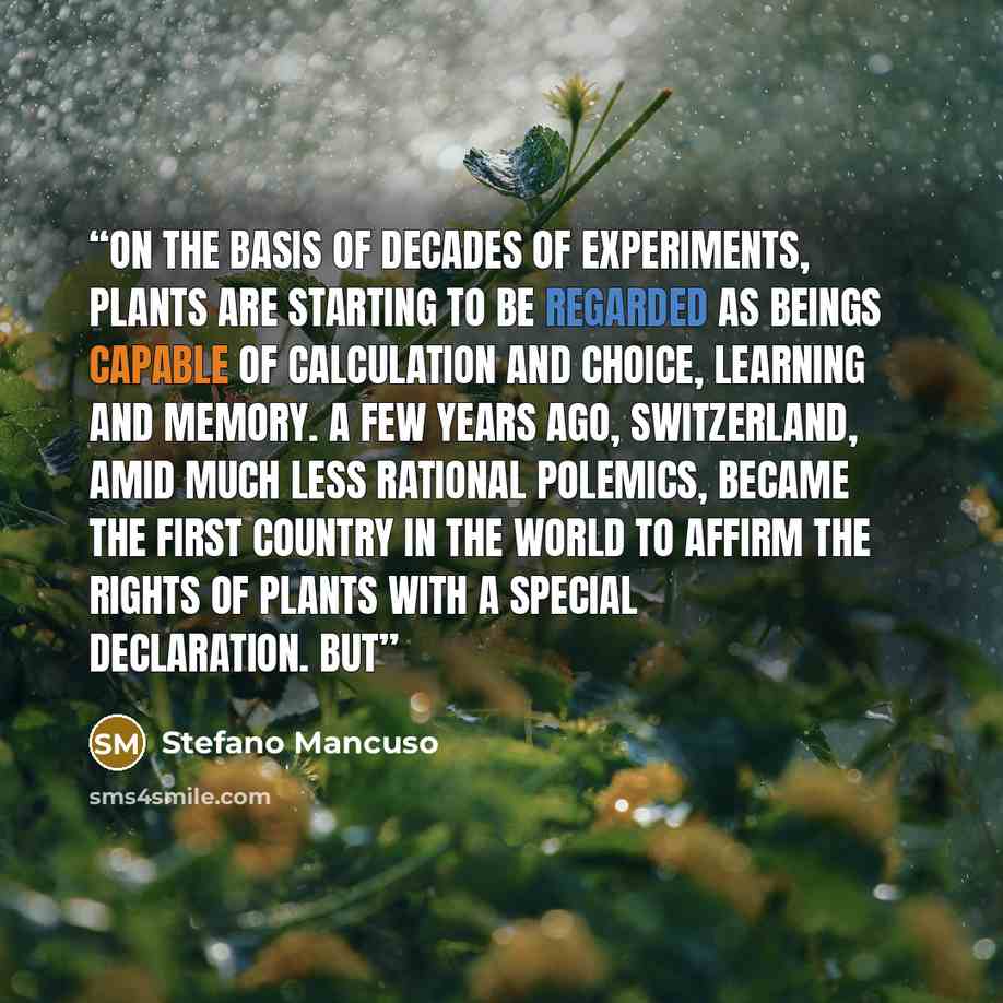 “On the basis of decades of experiments, plants are starting to be regarded as beings capable of calculation and choice, learning and memory. A few years ago, Switzerland, amid much less rational polemics, became the first country in the world to affirm the rights of plants with a special…” quote by Stefano Mancuso