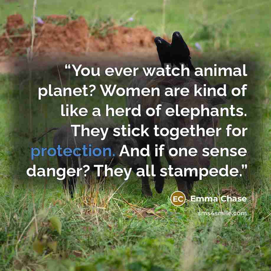 “You ever watch animal planet? Women are kind of like a herd of elephants. They stick together for protection. And if one sense danger? They all stampede.” quote by Emma Chase