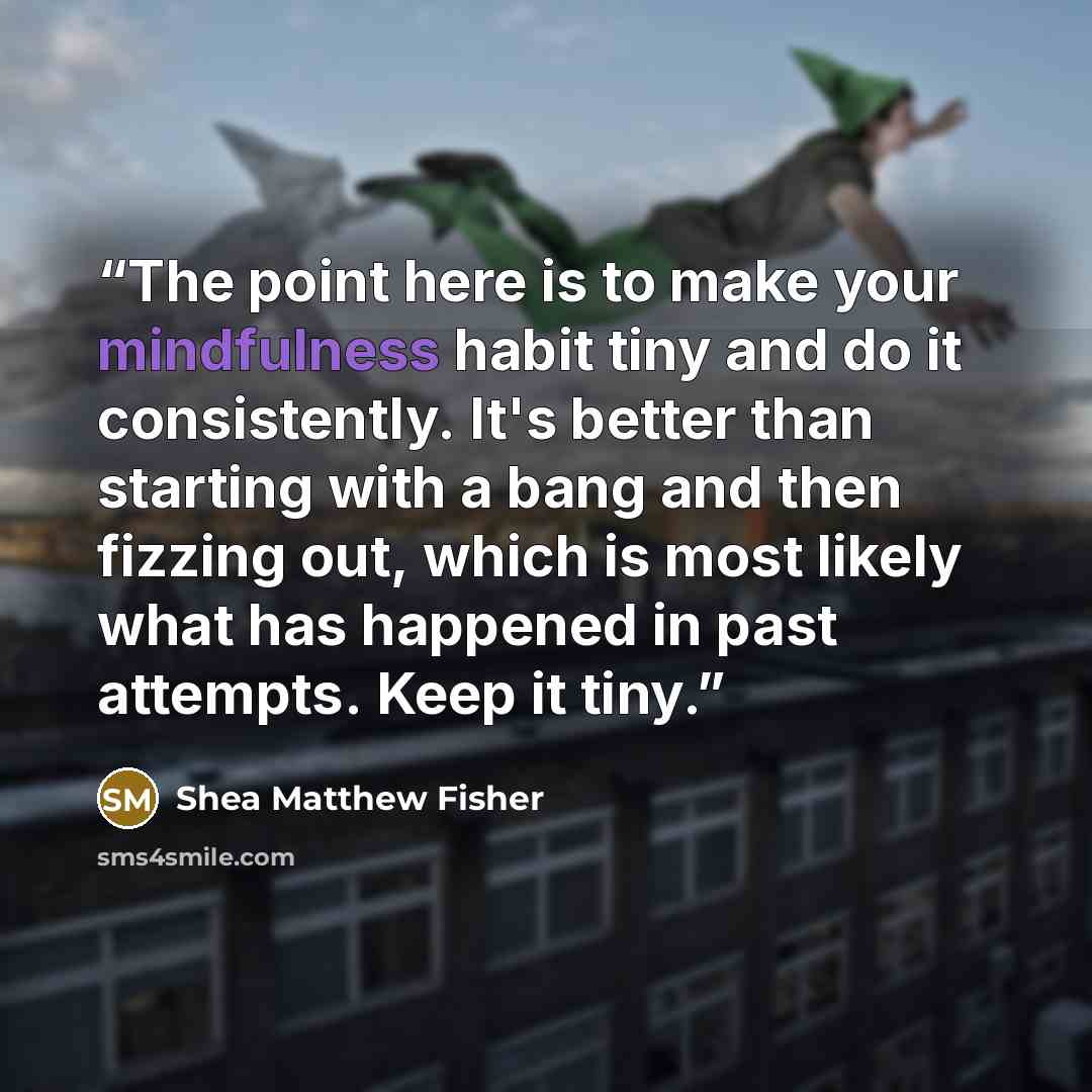 “The point here is to make your mindfulness habit tiny and do it consistently. It's better than starting with a bang and then fizzing out, which is most likely what has happened in past attempts. Keep it tiny.” quote by Shea Matthew Fisher