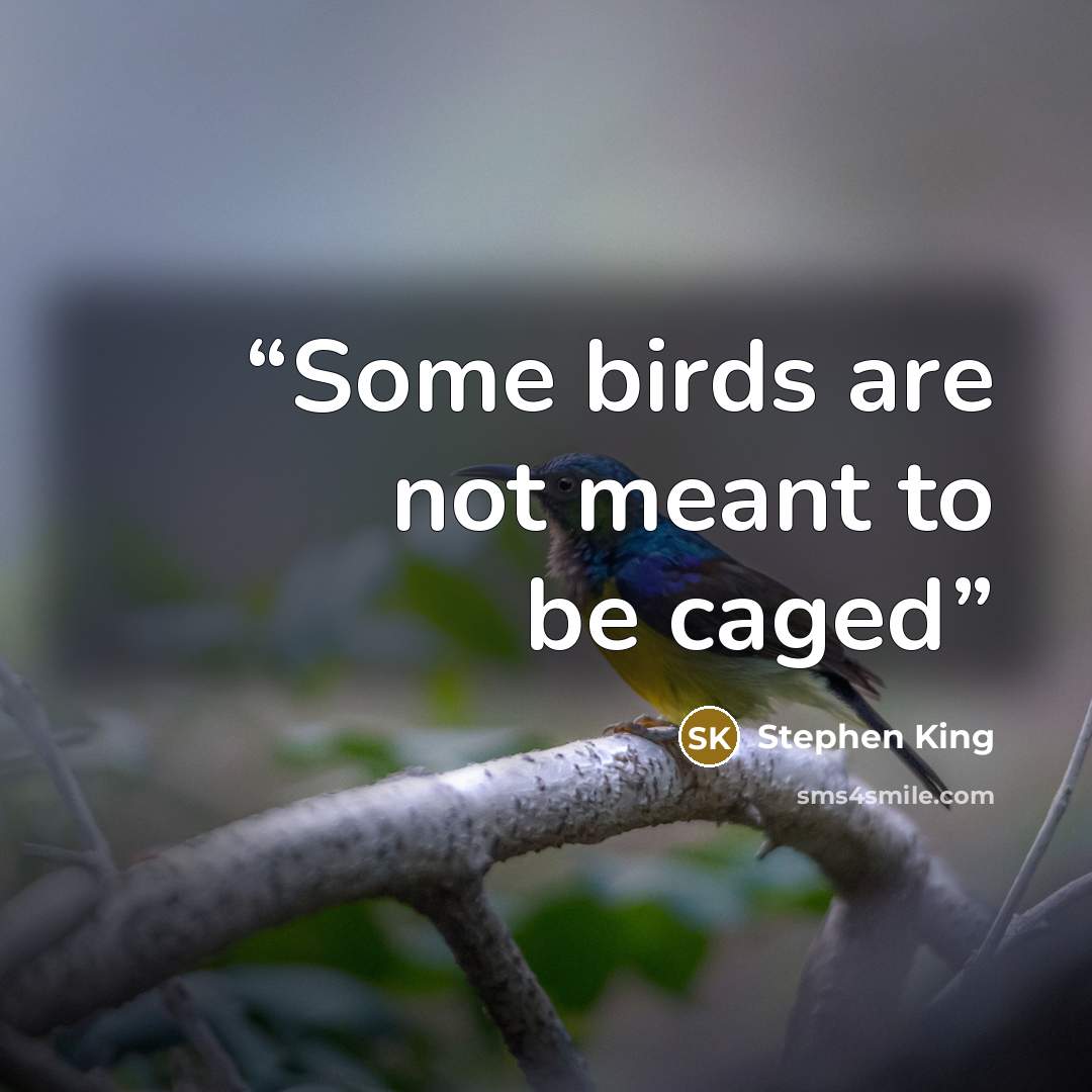 “Some birds are not meant to be caged” quote by Stephen King