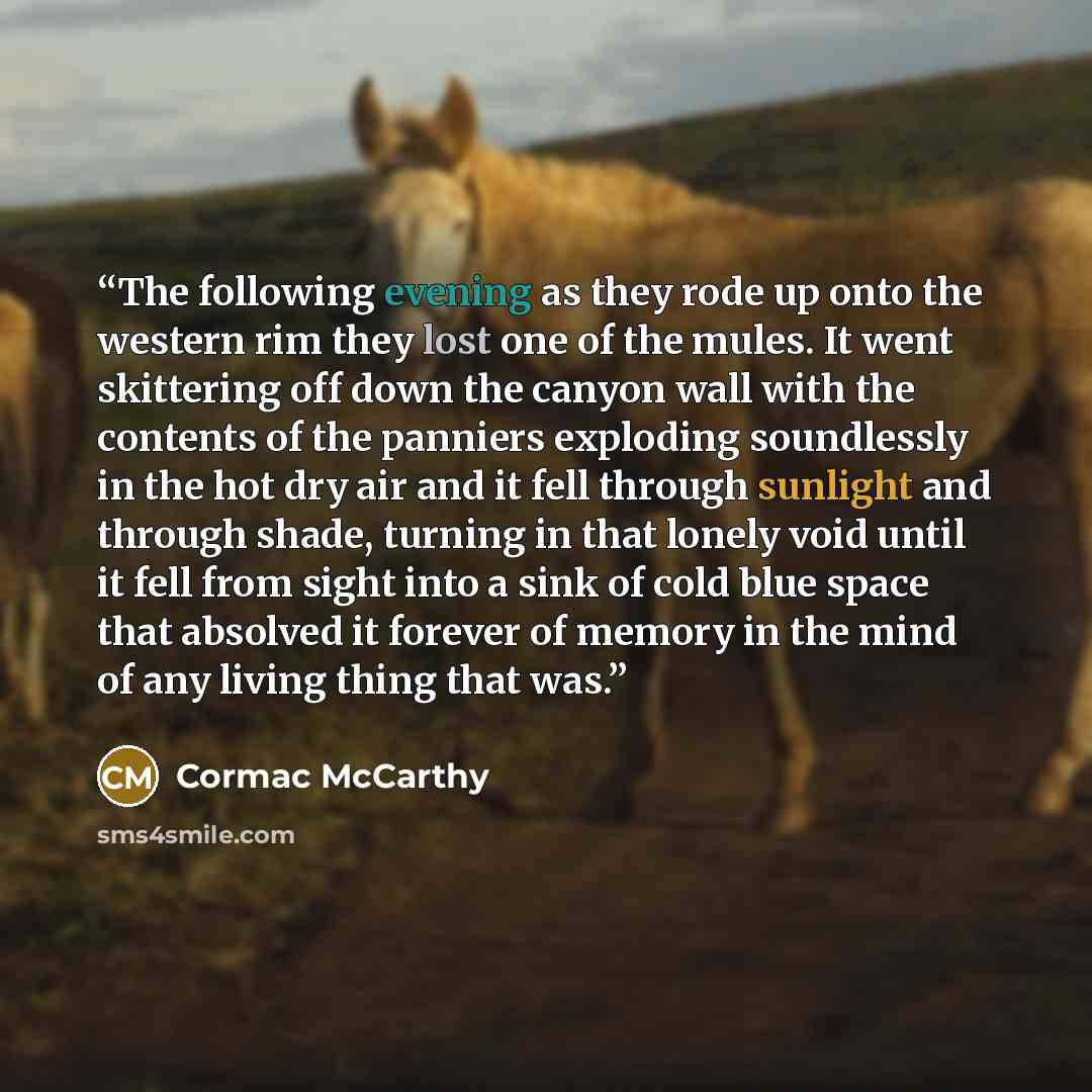 “The following evening as they rode up onto the western rim they lost one of the mules. It went skittering off down the canyon wall with the contents of the panniers exploding soundlessly in the hot dry air and it fell through sunlight and through shade, turning in that lonely void until it fell…” quote by Cormac McCarthy