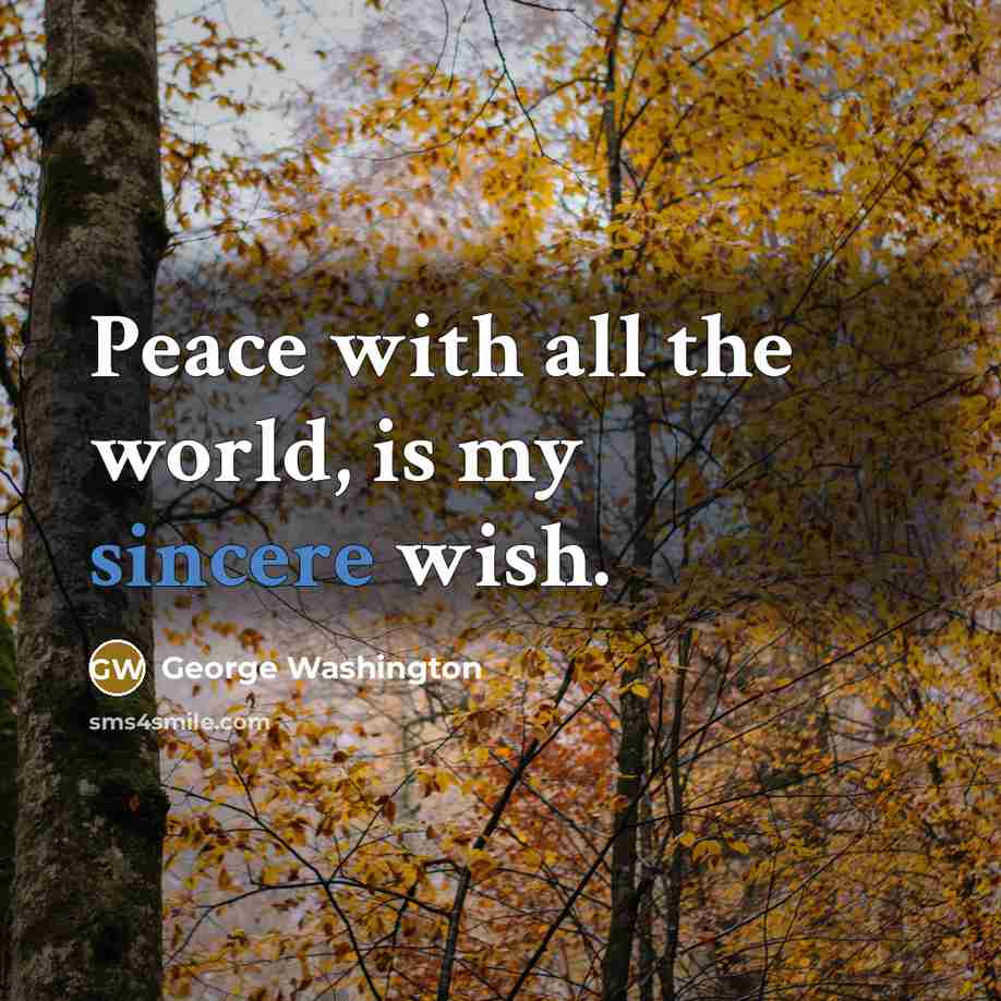 “Peace with all the world, is my sincere wish.” quote by George Washington