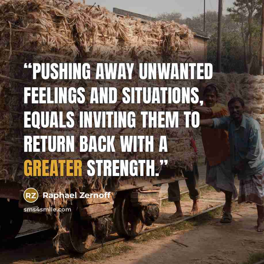 “Pushing away unwanted feelings and situations, equals inviting them to return back with a greater strength.” quote by Raphael Zernoff