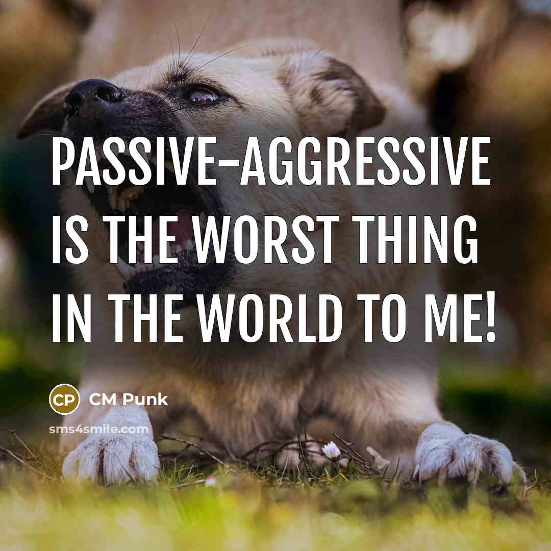 “Passive-aggressive is the worst thing in the world to me!” quote by CM Punk