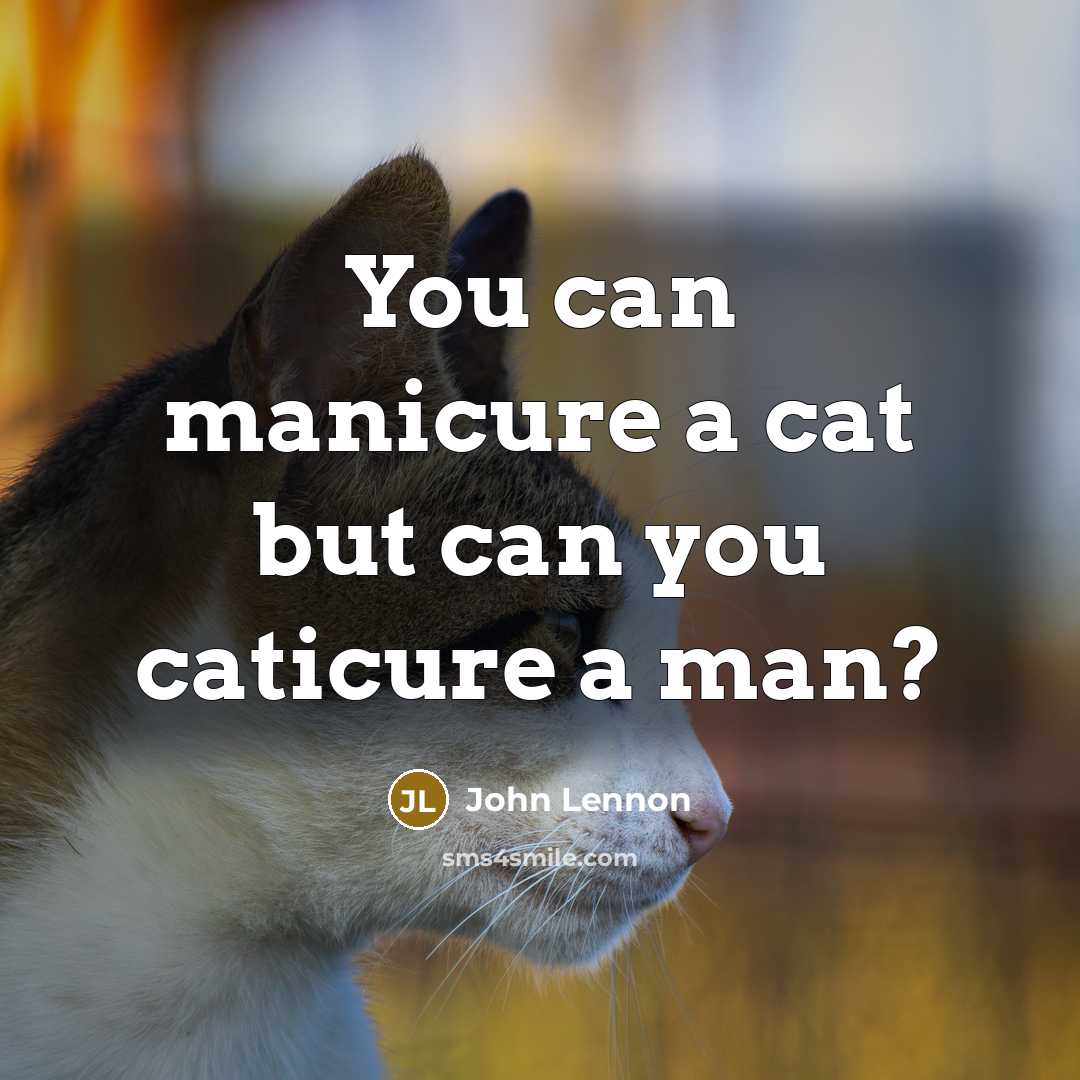 “You can manicure a cat but can you caticure a man?” quote by John Lennon