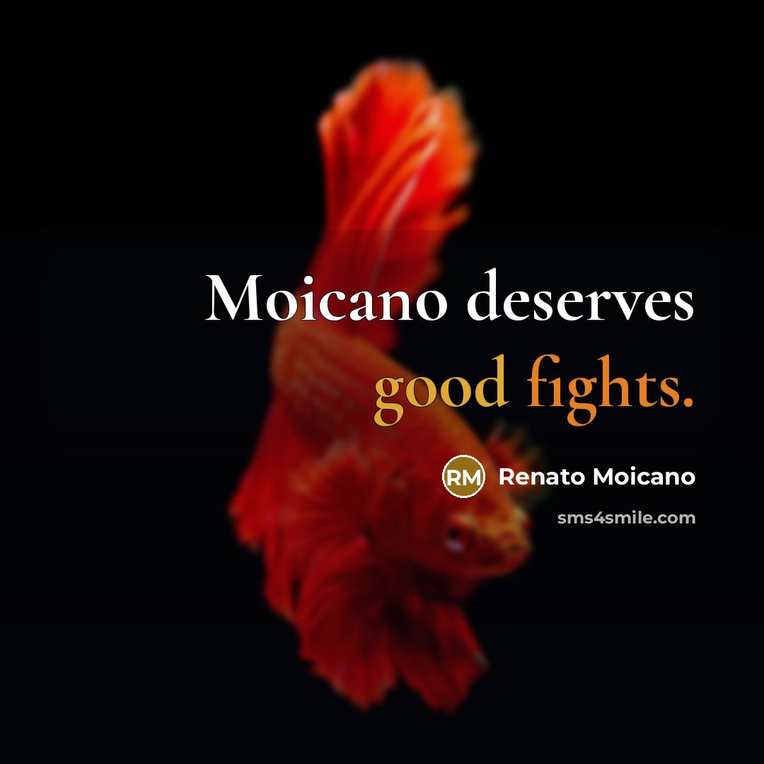 “Moicano deserves good fights.” quote by Renato Moicano