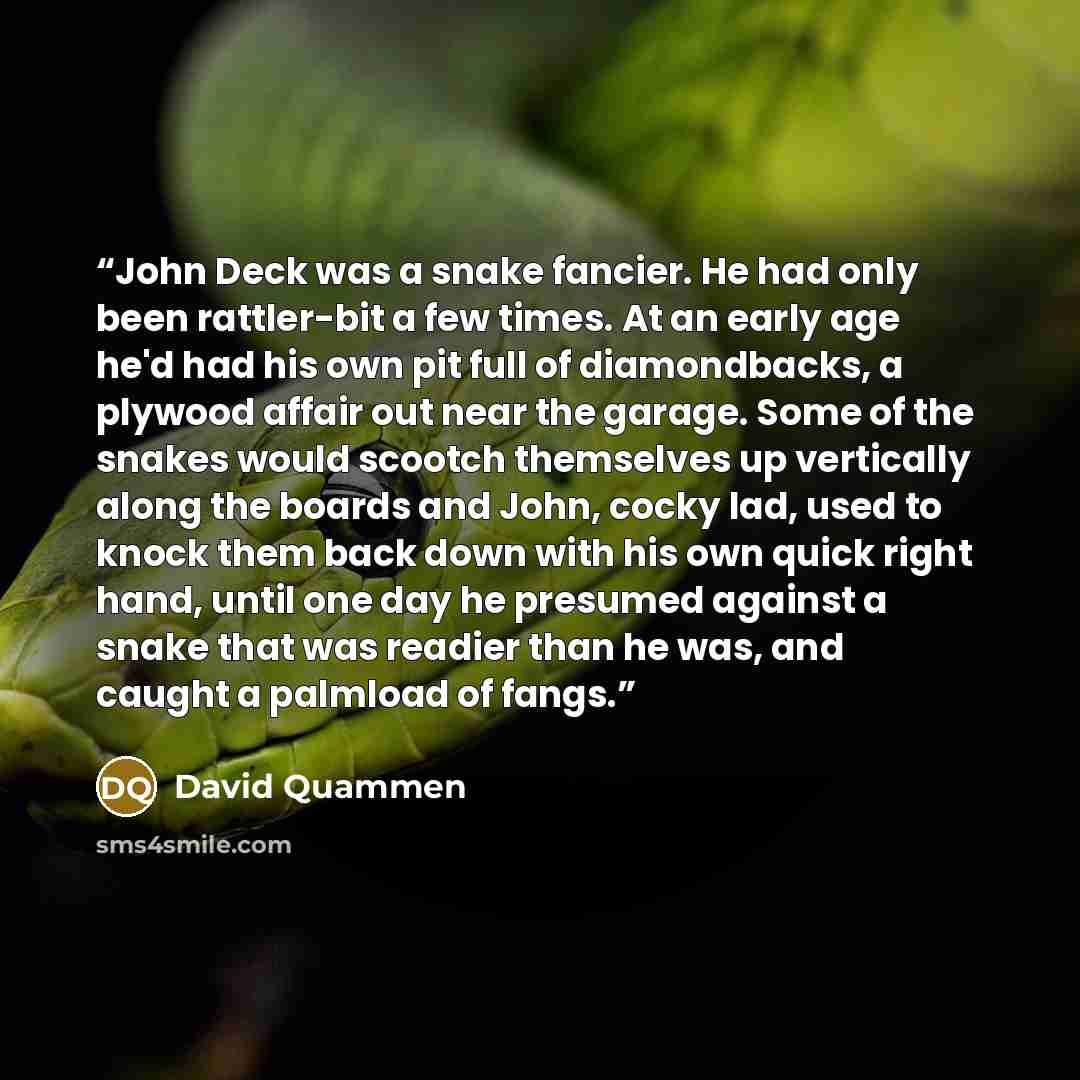 “John Deck was a snake fancier. He had only been rattler-bit a few times. At an early age he'd had his own pit full of diamondbacks, a plywood affair out near the garage. Some of the snakes would scootch themselves up vertically along the boards and John, cocky lad, used to knock them back down…” quote by David Quammen