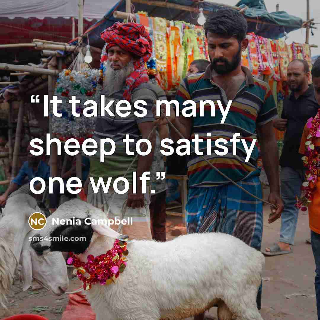 “It takes many sheep to satisfy one wolf.” quote by Nenia Campbell