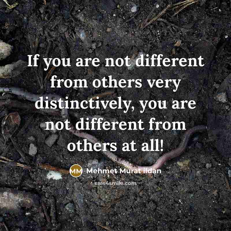 “If you are not different from others very distinctively, you are not different from others at all!” quote by Mehmet Murat Ildan
