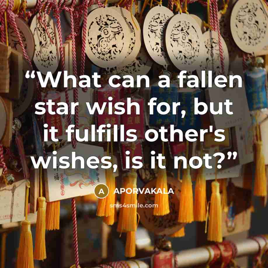 “What can a fallen star wish for, but it fulfills other's wishes, is it not?” quote by APORVAKALA