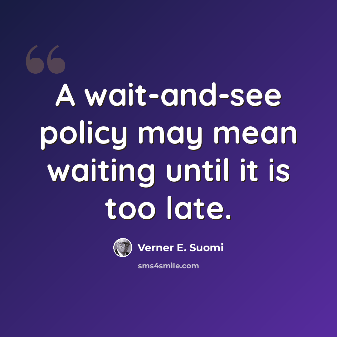 “A wait-and-see policy may mean waiting until it is too late.” quote by Verner E. Suomi