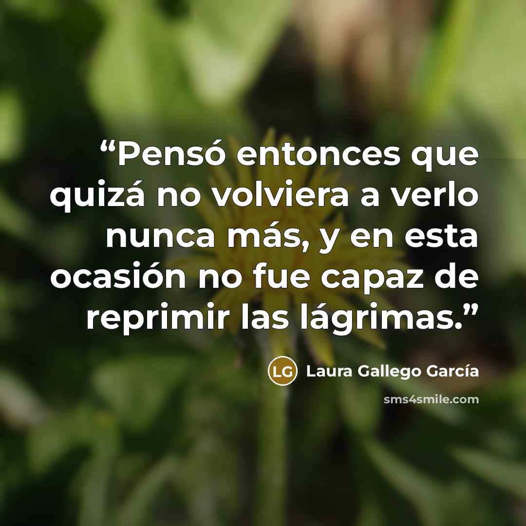 “Pensó entonces que quizá no volviera a verlo nunca más, y en esta ocasión no fue capaz de reprimir las lágrimas.” quote by Laura Gallego García