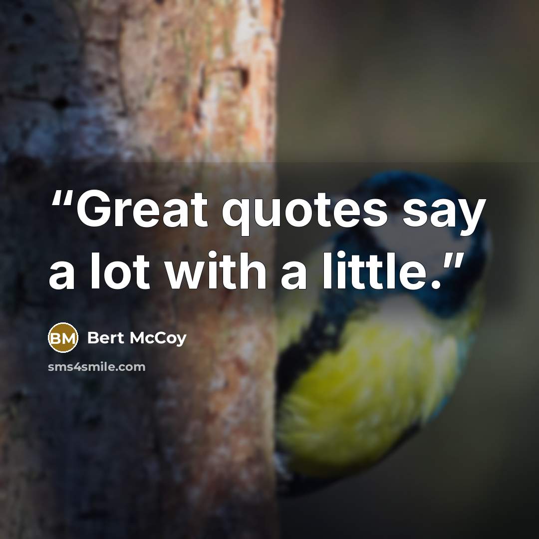 “Great quotes say a lot with a little.” quote by Bert McCoy