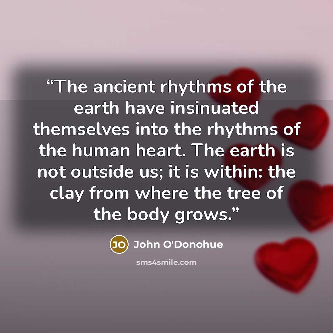 “The ancient rhythms of the earth have insinuated themselves into the rhythms of the human heart. The earth is not outside us; it is within: the clay from where the tree of the body grows.” quote by John O'Donohue
