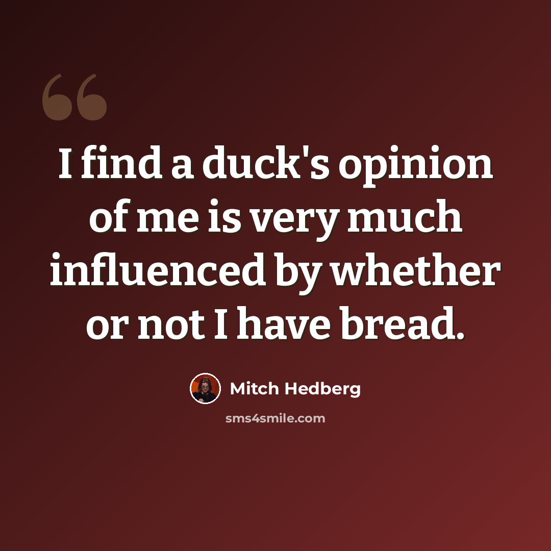 “I find a duck's opinion of me is very much influenced by whether or not I have bread.” quote by Mitch Hedberg