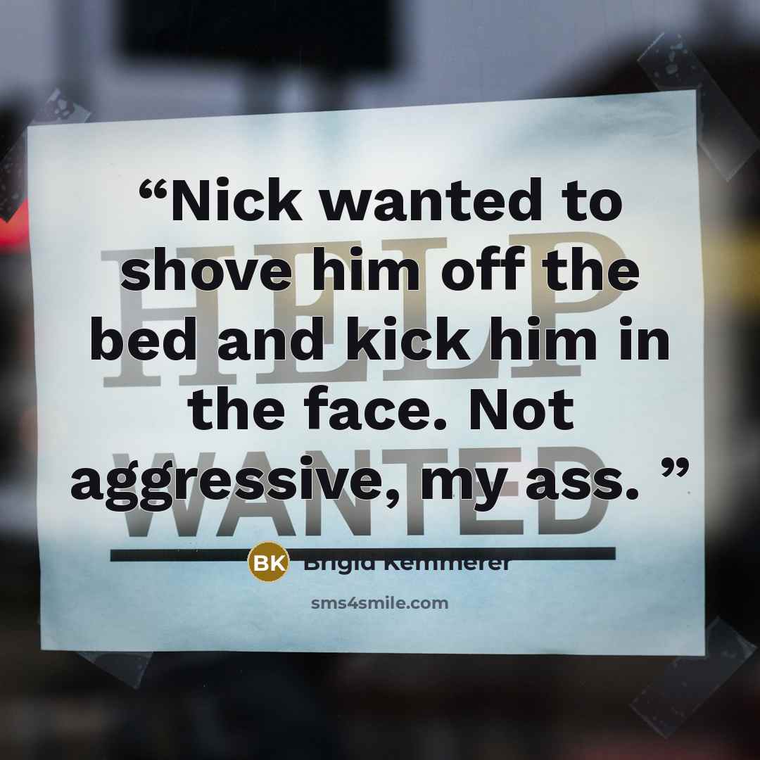 “Nick wanted to shove him off the bed and kick him in the face. Not aggressive, my ass.” quote by Brigid Kemmerer