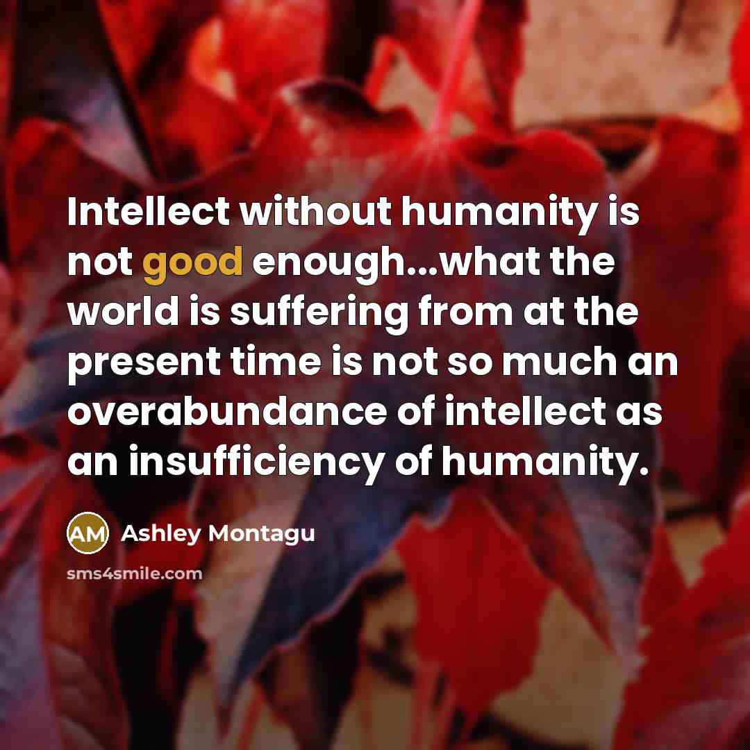 “Intellect without humanity is not good enough...what the world is suffering from at the present time is not so much an overabundance of intellect as an insufficiency of humanity.” quote by Ashley Montagu