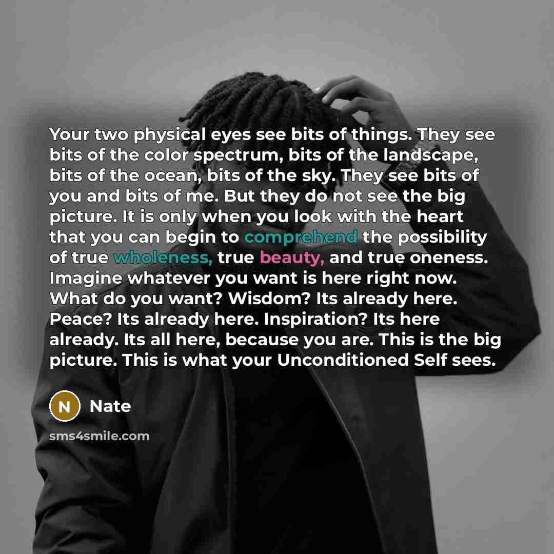 “Your two physical eyes see bits of things. They see bits of the color spectrum, bits of the landscape, bits of the ocean, bits of the sky. They see bits of you and bits of me. But they do not see the big picture. It is only when you look with the heart that you can begin to comprehend the…” quote by Nate