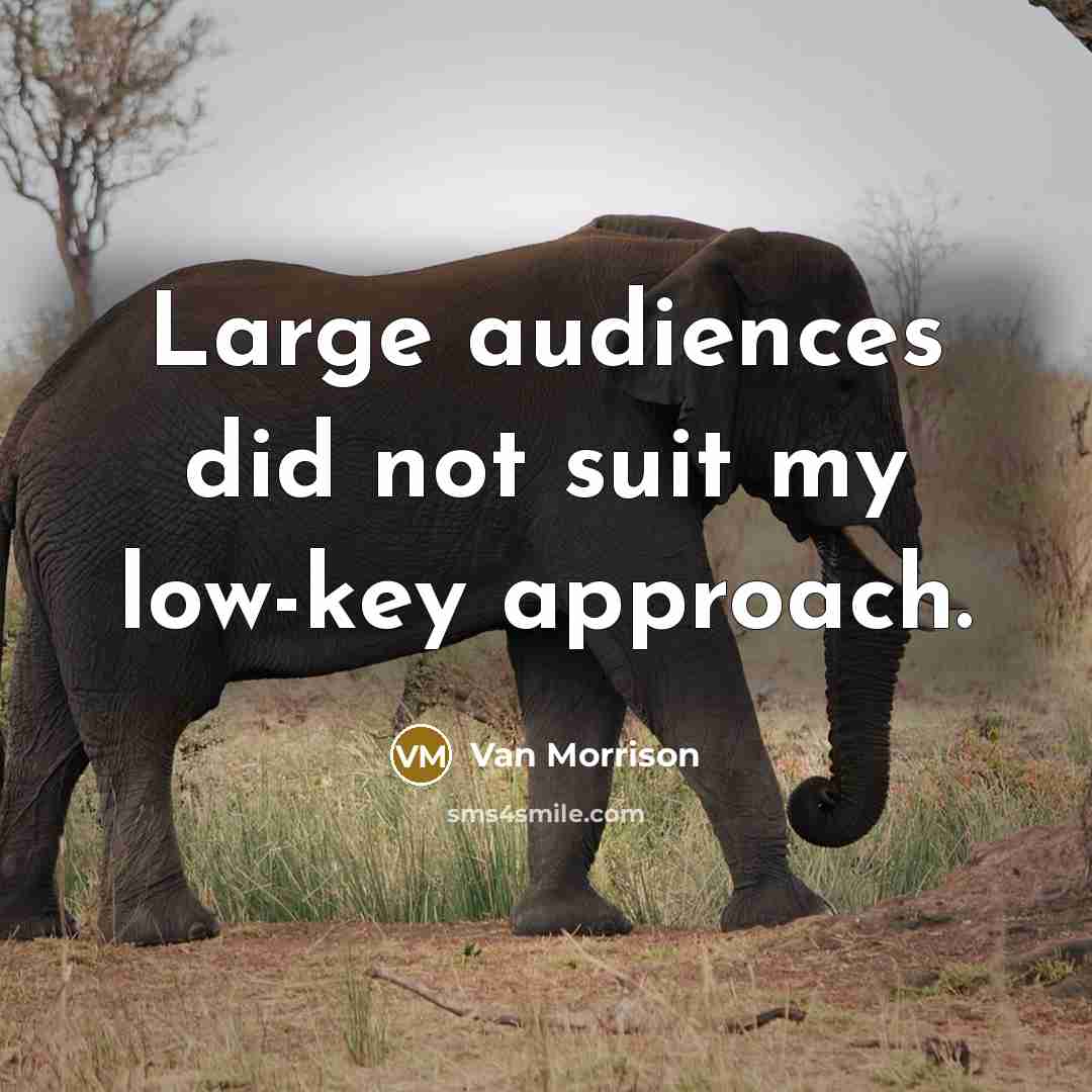 “Large audiences did not suit my low-key approach.” quote by Van Morrison