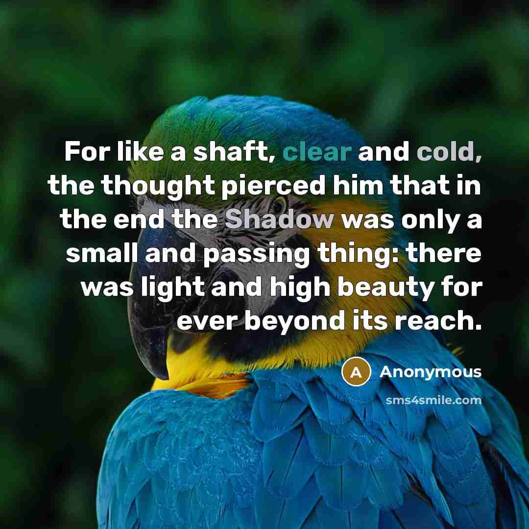 “For like a shaft, clear and cold, the thought pierced him that in the end the Shadow was only a small and passing thing: there was light and high beauty for ever beyond its reach.” quote by Anonymous