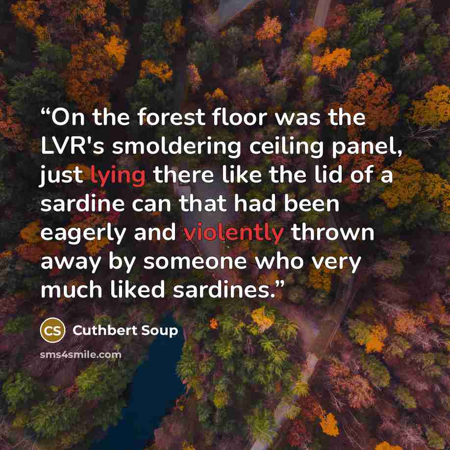 “On the forest floor was the LVR's smoldering ceiling panel, just lying there like the lid of a sardine can that had been eagerly and violently thrown away by someone who very much liked sardines.” quote by Cuthbert Soup