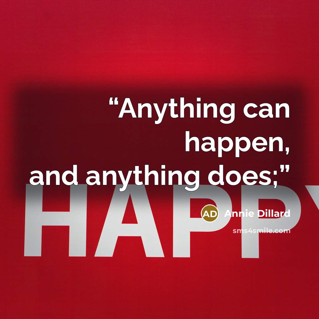“Anything can happen, and anything does;” quote by Annie Dillard