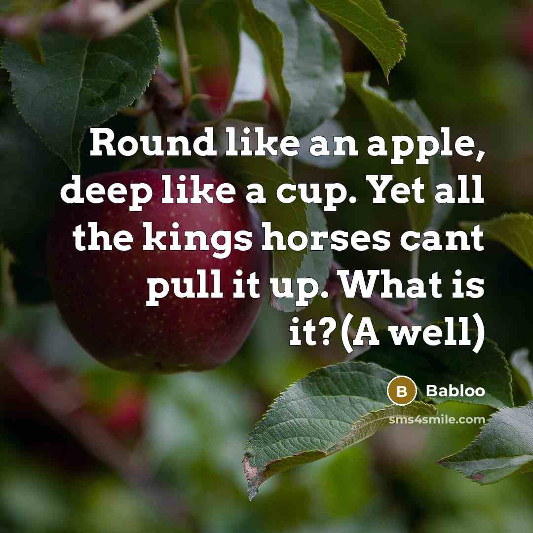 “Round like an apple, deep like a cup. Yet all the kings horses cant pull it up. What is it?(A well)” quote by Babloo