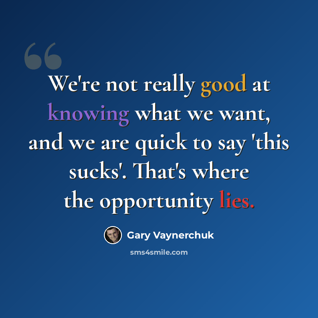 “We're not really good at knowing what we want, and we are quick to say 'this sucks'. That's where the opportunity lies.” quote by Gary Vaynerchuk