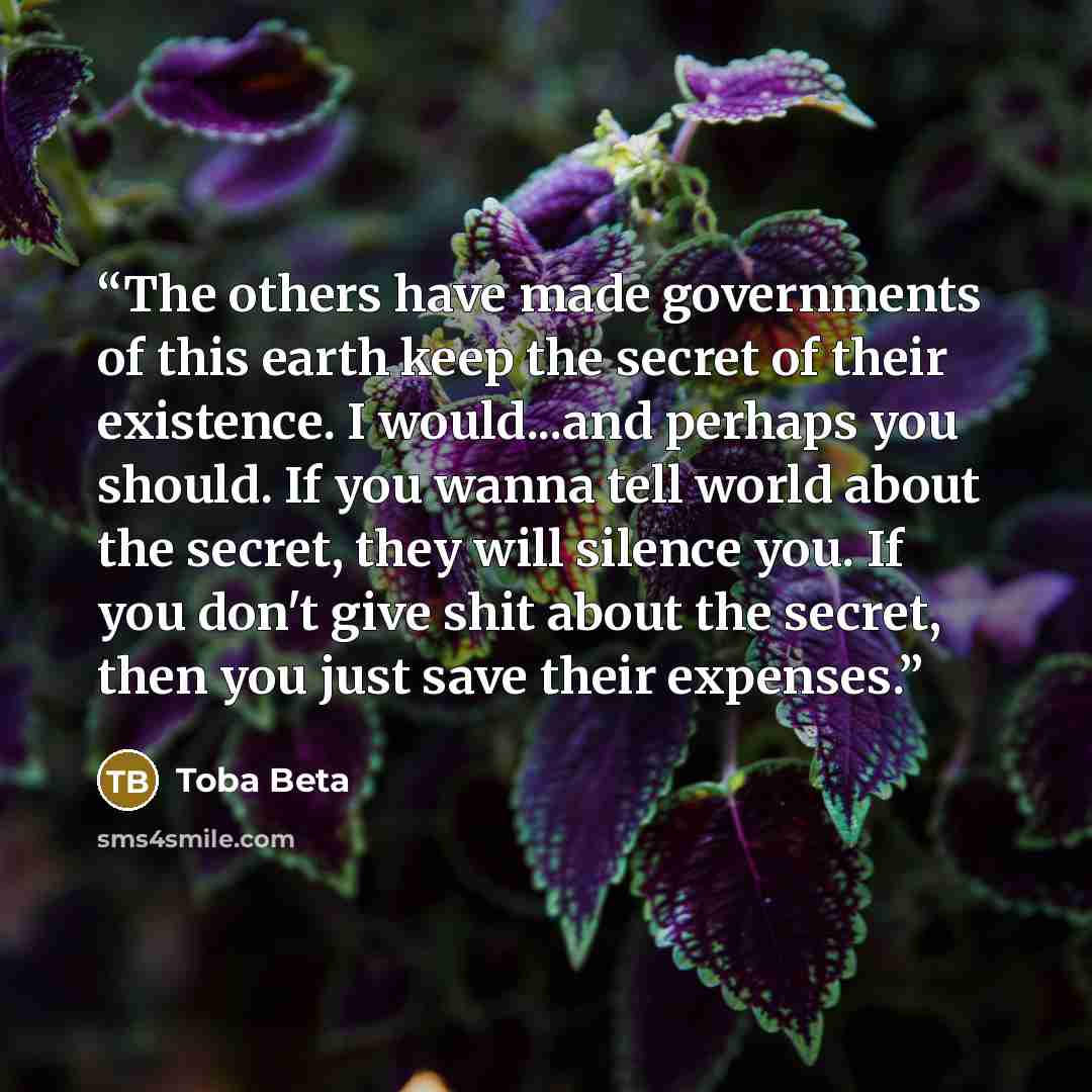 “The others have made governments of this earth keep the secret of their existence. I would...and perhaps you should. If you wanna tell world about the secret, they will silence you. If you don't give shit about the secret, then you just save their expenses.” quote by Toba Beta