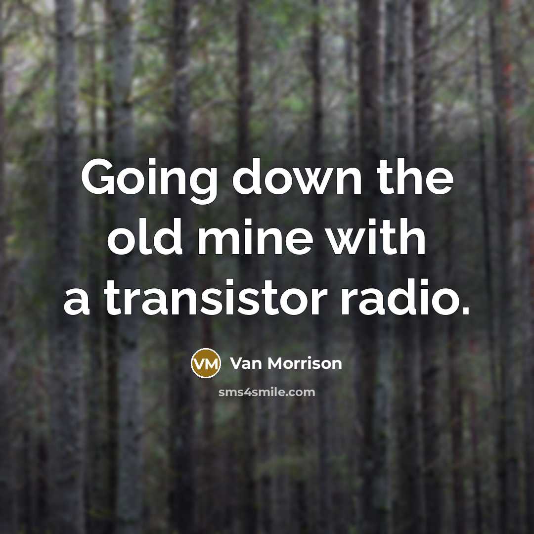 “Going down the old mine with a transistor radio.” quote by Van Morrison