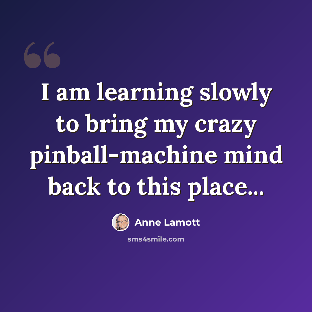 “I am learning slowly to bring my crazy pinball-machine mind back to this place...” quote by Anne Lamott