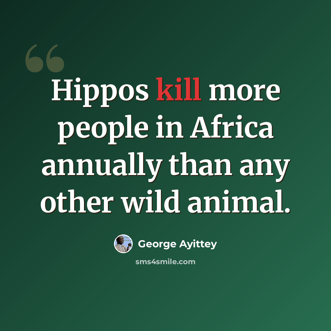 “Hippos kill more people in Africa annually than any other wild animal.” quote by George Ayittey