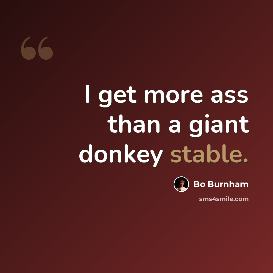 “I get more ass than a giant donkey stable.” quote by Bo Burnham