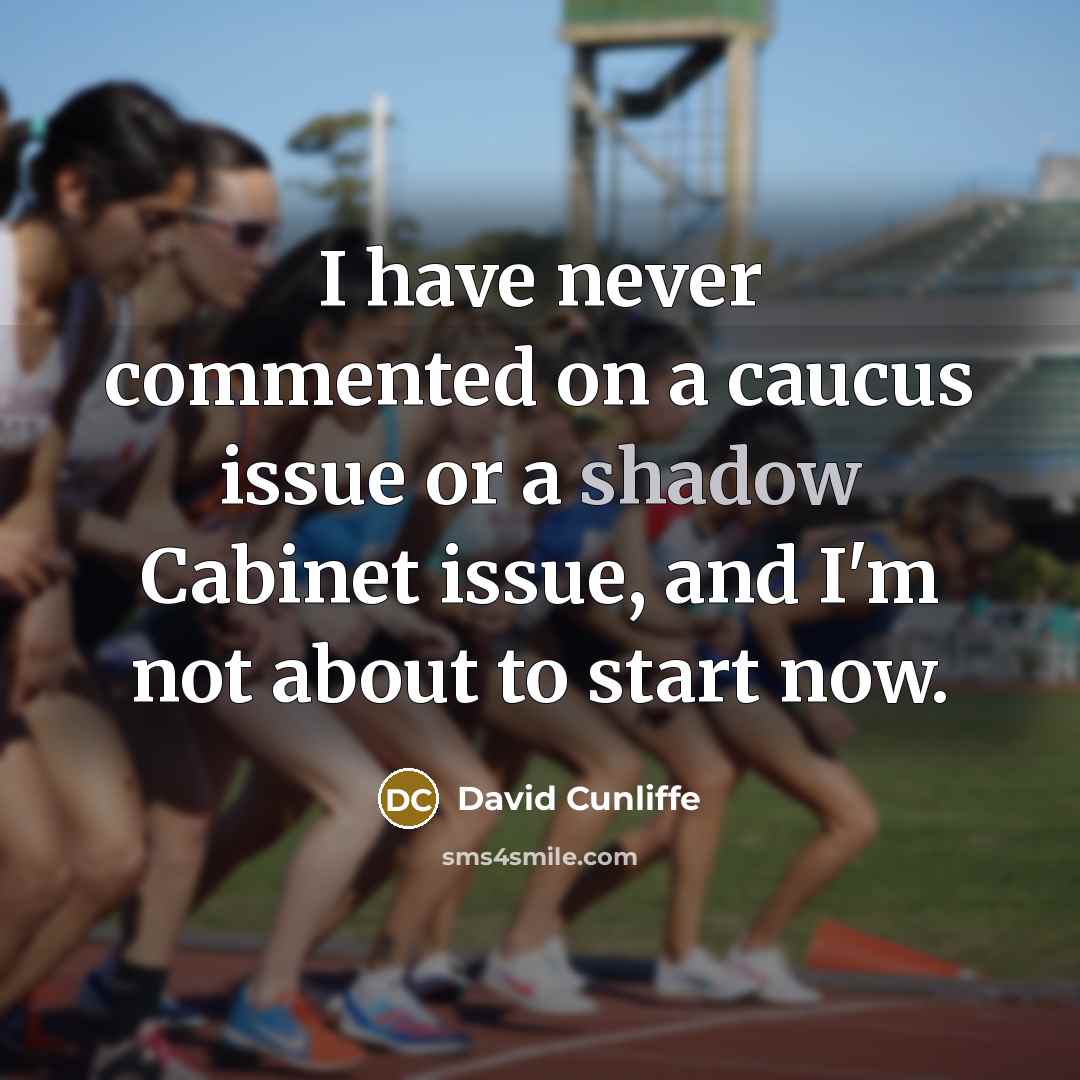 “I have never commented on a caucus issue or a shadow Cabinet issue, and I'm not about to start now.” quote by David Cunliffe