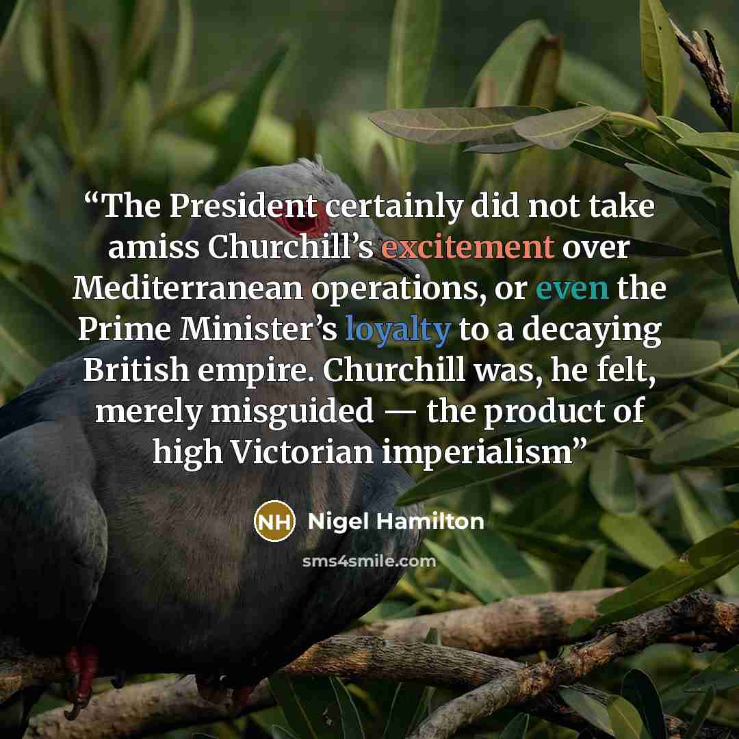 “The President certainly did not take amiss Churchill’s excitement over Mediterranean operations, or even the Prime Minister’s loyalty to a decaying British empire. Churchill was, he felt, merely misguided — the product of high Victorian imperialism” quote by Nigel Hamilton