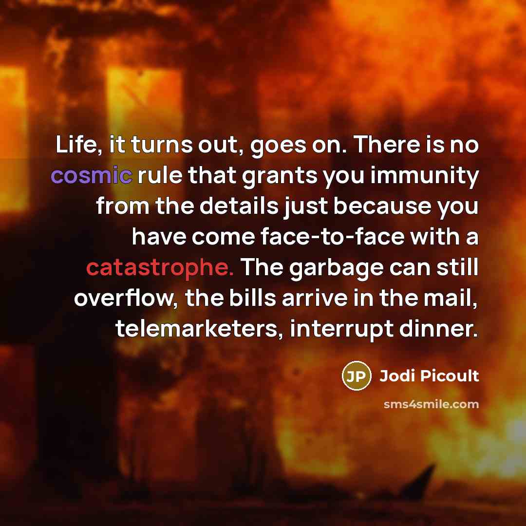 “Life, it turns out, goes on. There is no cosmic rule that grants you immunity from the details just because you have come face-to-face with a catastrophe. The garbage can still overflow, the bills arrive in the mail, telemarketers, interrupt dinner.” quote by Jodi Picoult