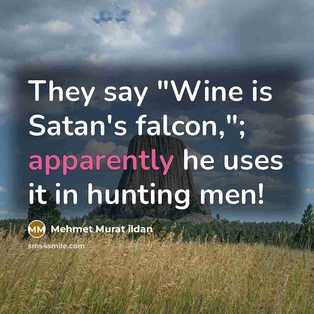 “They say "Wine is Satan's falcon,"; apparently he uses it in hunting men!” quote by Mehmet Murat Ildan