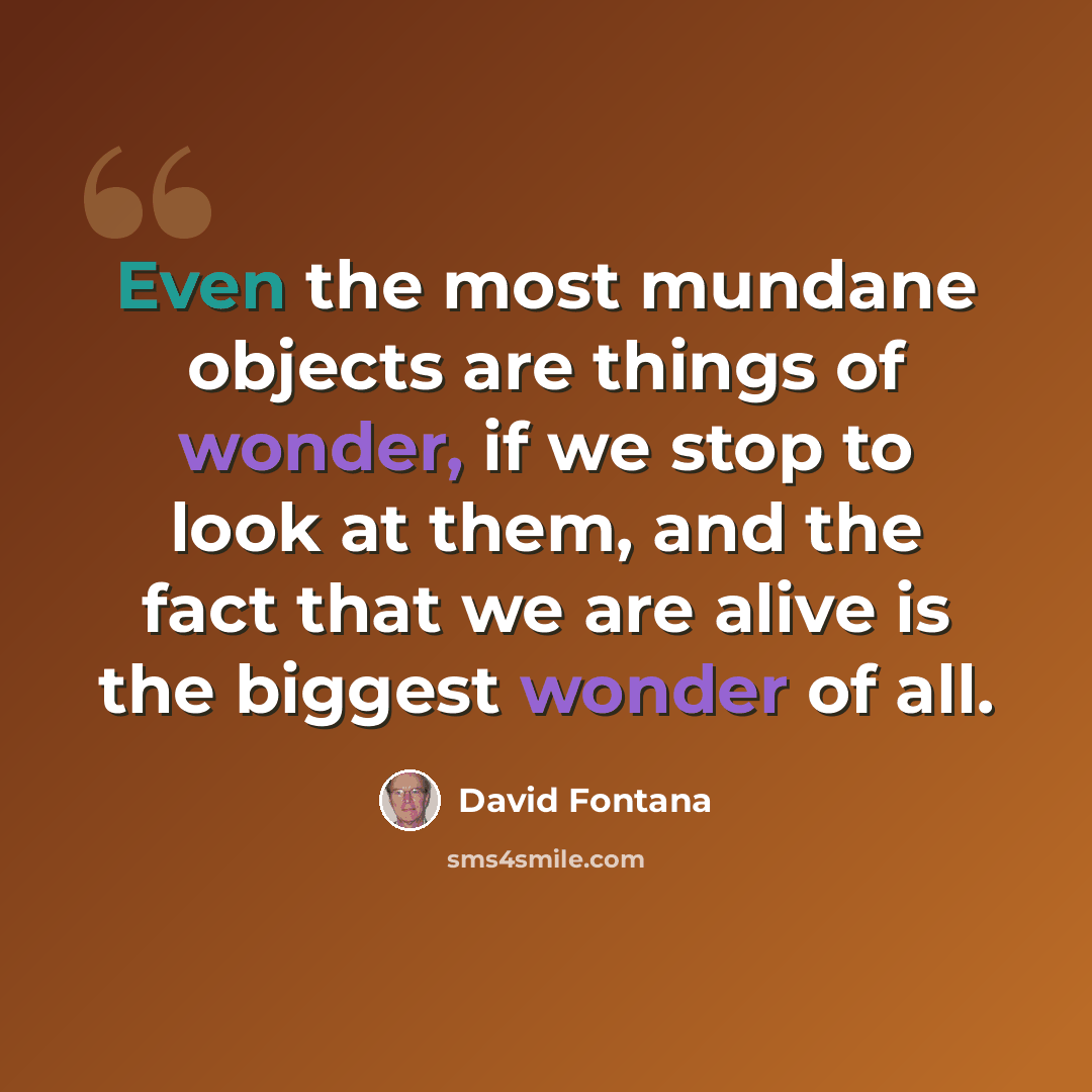 “Even the most mundane objects are things of wonder, if we stop to look at them, and the fact that we are alive is the biggest wonder of all.” quote by David Fontana