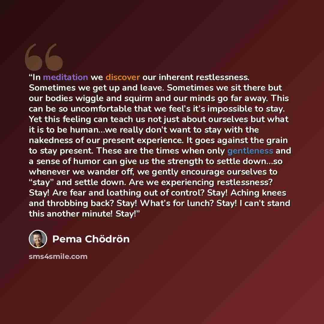 “In meditation we discover our inherent restlessness. Sometimes we get up and leave. Sometimes we sit there but our bodies wiggle and squirm and our minds go far away. This can be so uncomfortable that we feel’s it’s impossible to stay. Yet this feeling can teach us not just about ourselves but…” quote by Pema Chödrön