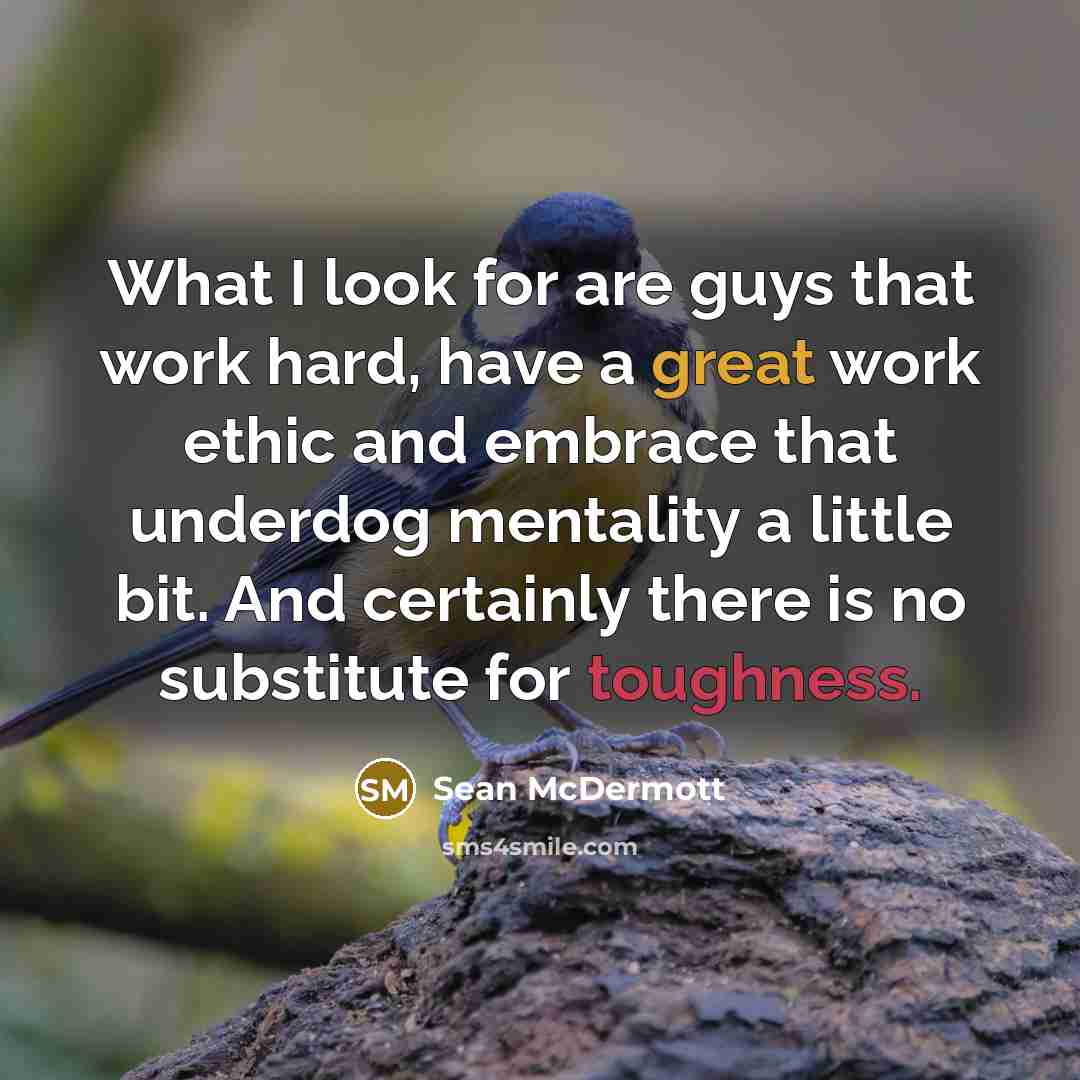 “What I look for are guys that work hard, have a great work ethic and embrace that underdog mentality a little bit. And certainly there is no substitute for toughness.” quote by Sean McDermott