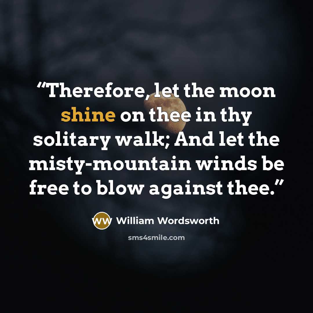 “Therefore, let the moon shine on thee in thy solitary walk; And let the misty-mountain winds be free to blow against thee.” quote by William Wordsworth