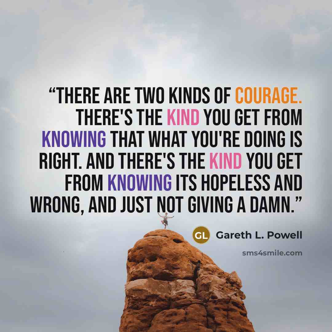 “There are two kinds of courage. There's the kind you get from knowing that what you're doing is right. And there's the kind you get from knowing its hopeless and wrong, and just not giving a damn.” quote by Gareth L. Powell