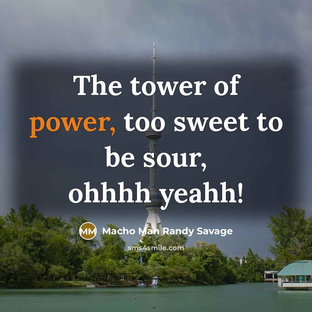 “The tower of power, too sweet to be sour, ohhhh yeahh!” quote by Macho Man Randy Savage
