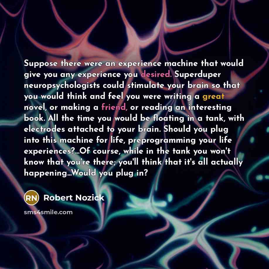 “Suppose there were an experience machine that would give you any experience you desired. Superduper neuropsychologists could stimulate your brain so that you would think and feel you were writing a great novel, or making a friend, or reading an interesting book. All the time you would be floating…” quote by Robert Nozick